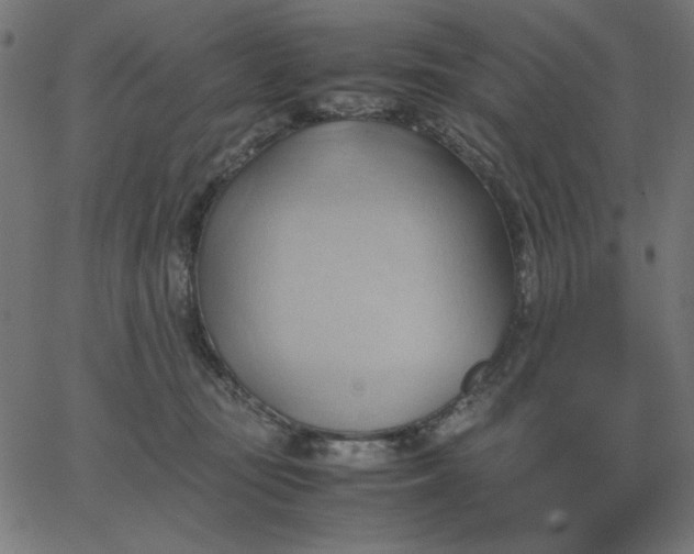 X0000067830371200604271600