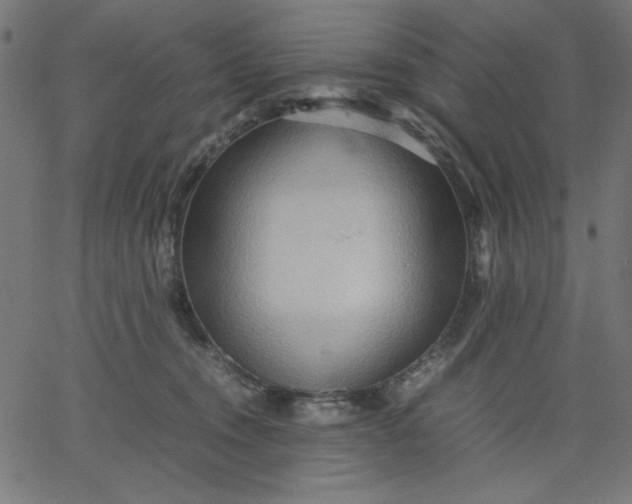 X0000067830372200604271600