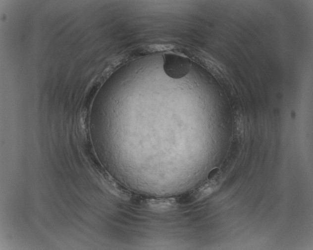 X0000067830373200604271600