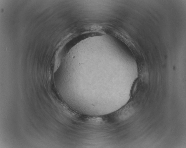 X0000067830374200604271600