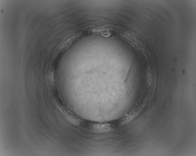 X0000067830375200604271600