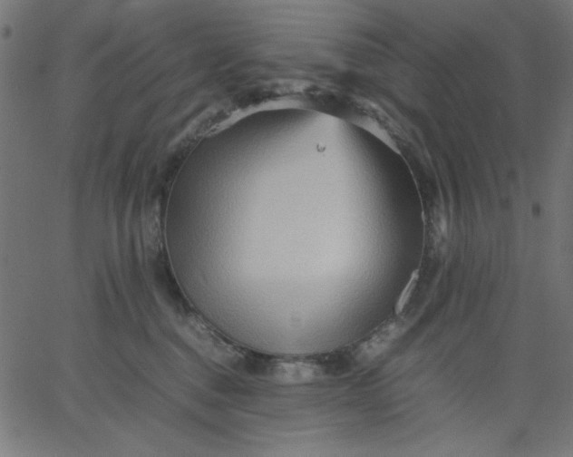 X0000067830376200604271600