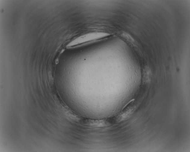 X0000067830377200604271600