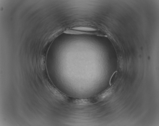 X0000067830378200604271600