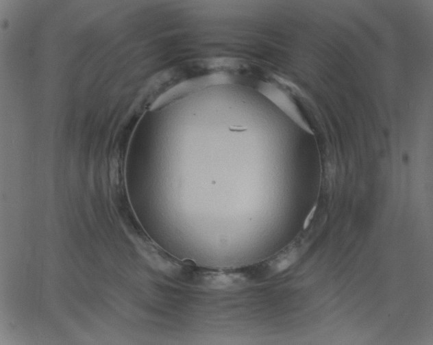 X0000067830379200604271600