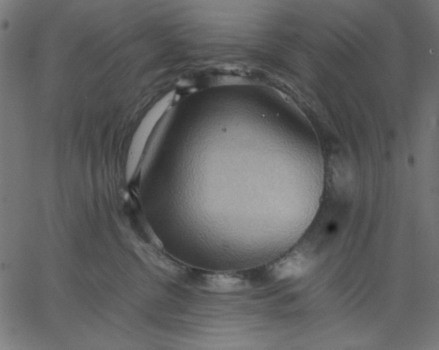 X0000067830380200604271600