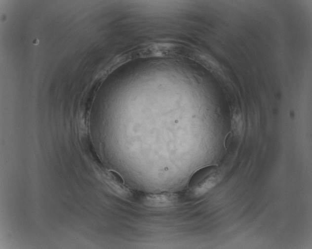 X0000067830381200604271600