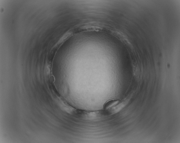 X0000067830382200604271600