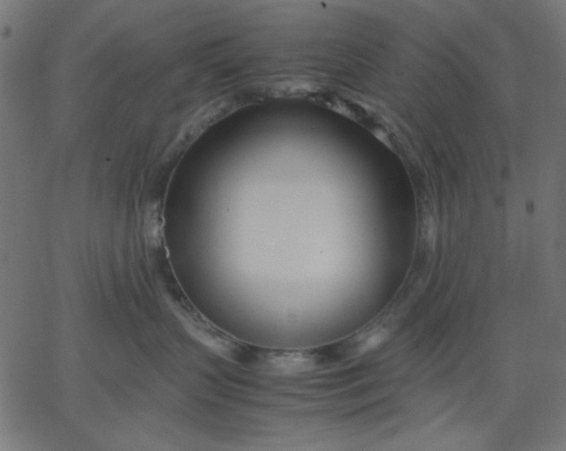 X0000067830383200604271600