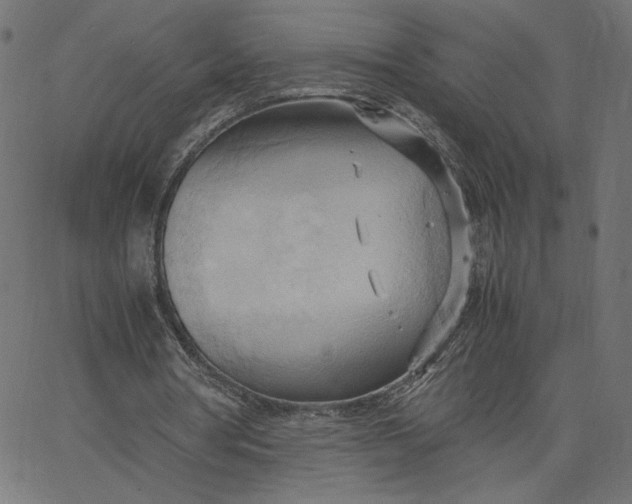 X0000067830386200604271600