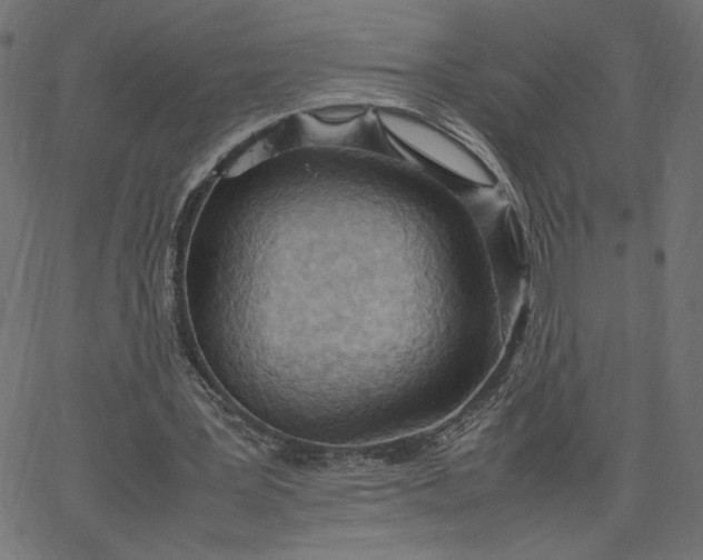 X0000067830387200604271600