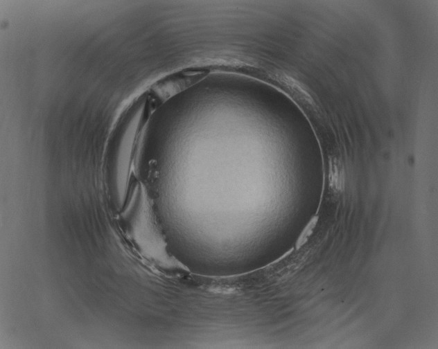 X0000067830388200604271600