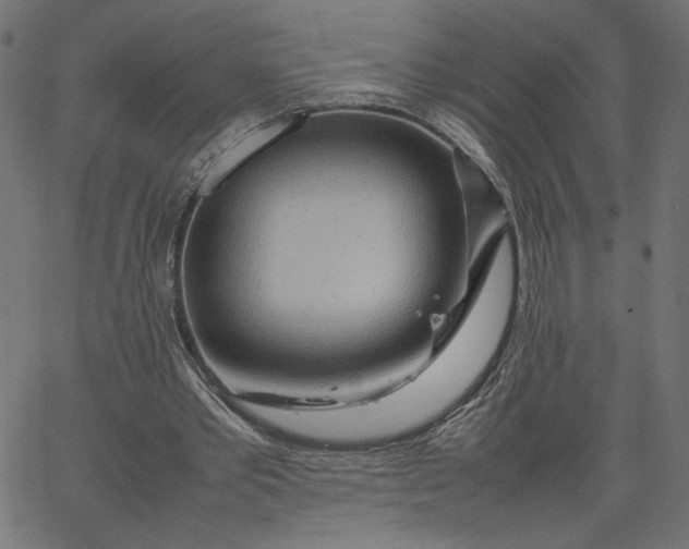 X0000067830389200604271600