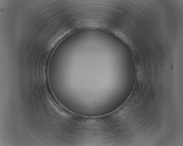 X0000067830390200604271600