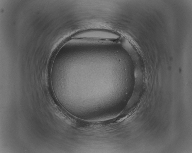 X0000067830391200604271600