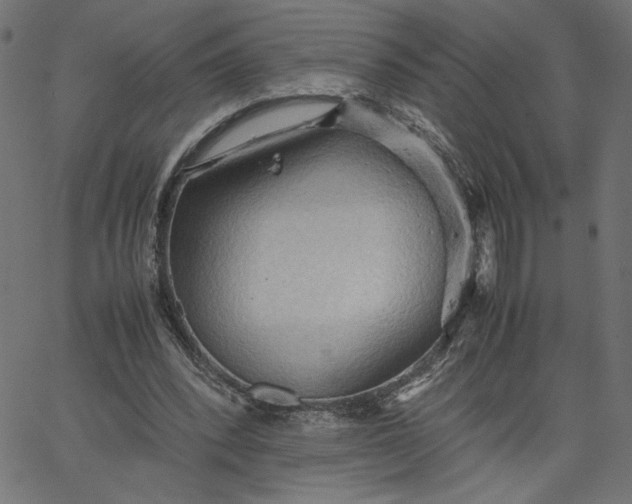 X0000067830392200604271600