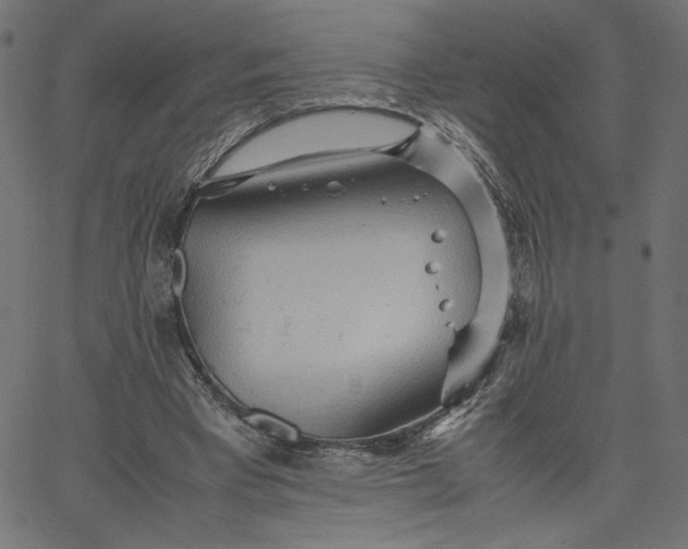 X0000067830393200604271600