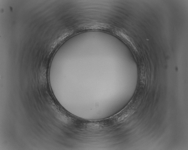 X0000067830394200604271600