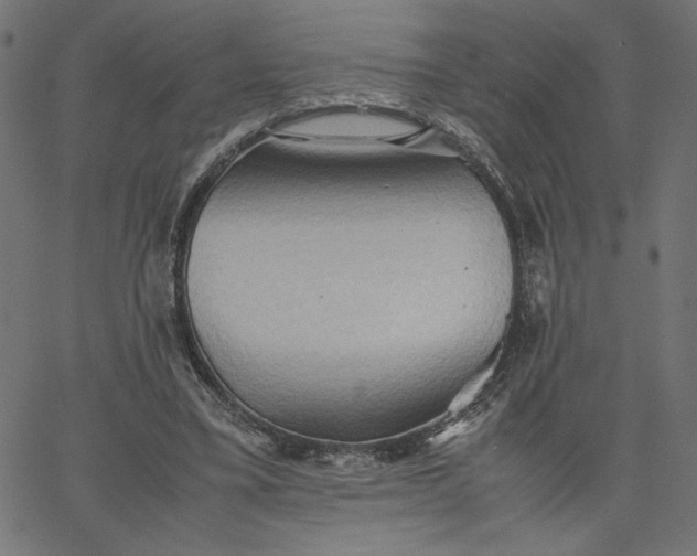 X0000067830395200604271600