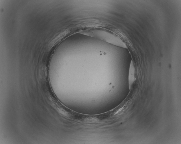 X0000067830397200604271600