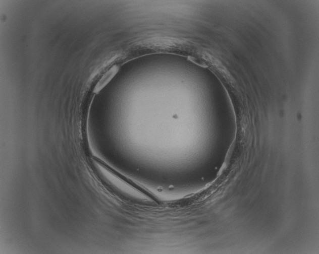 X0000067830399200604271559