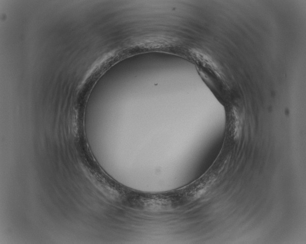 X0000067830400200604271559