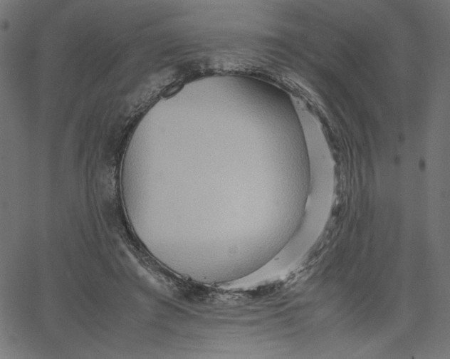 X0000067830401200604271559