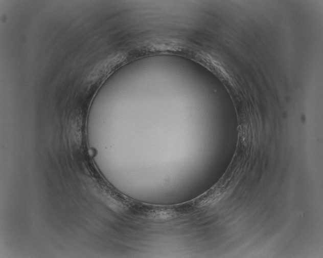 X0000067830402200604271559