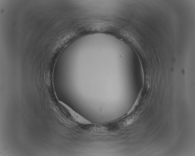 X0000067830403200604271559