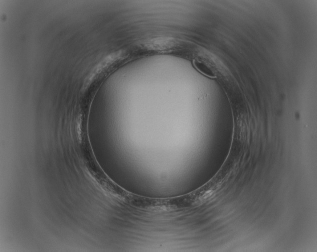 X0000067830404200604271559