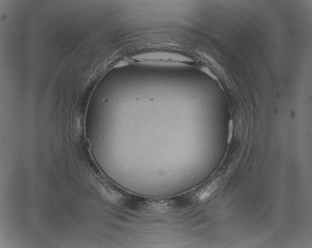 X0000067830405200604271559