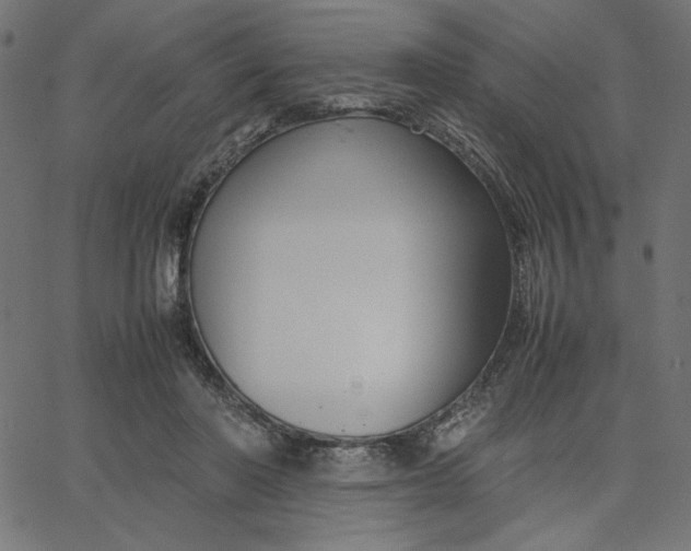 X0000067830406200604271559