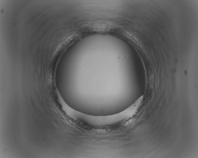 X0000067830407200604271559