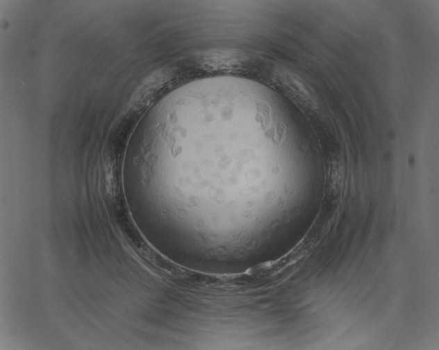 X0000067830408200604271559