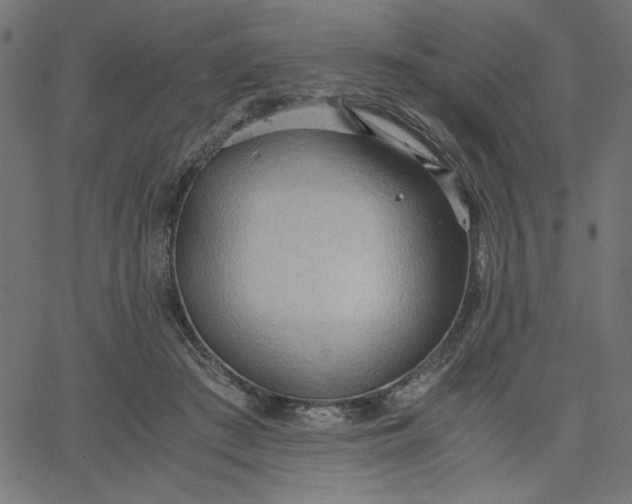 X0000067830409200604271559