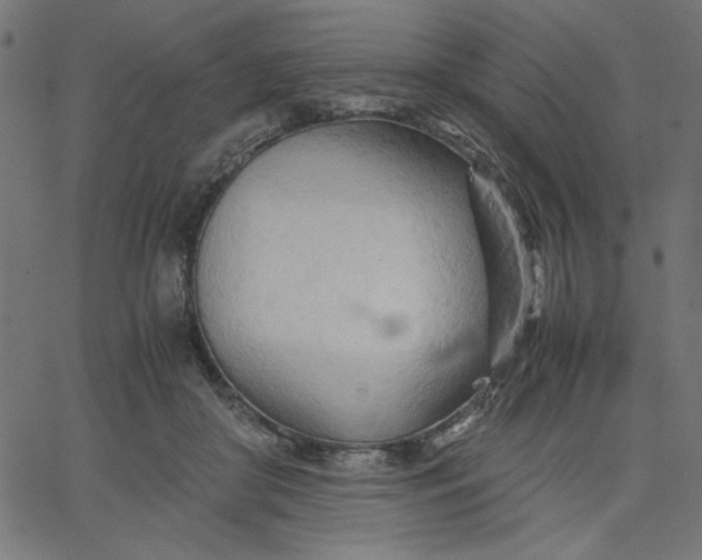 X0000067830410200604271559