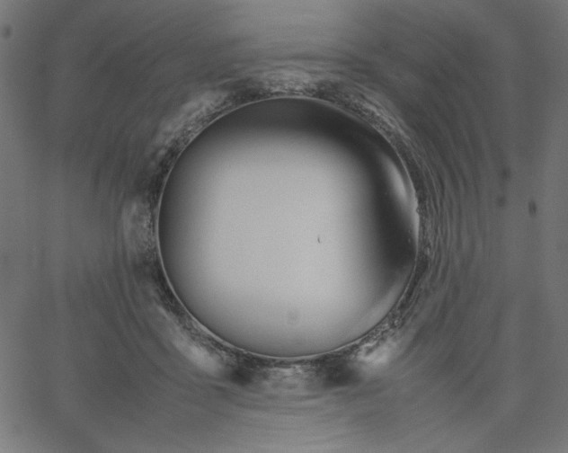 X0000067830411200604271559