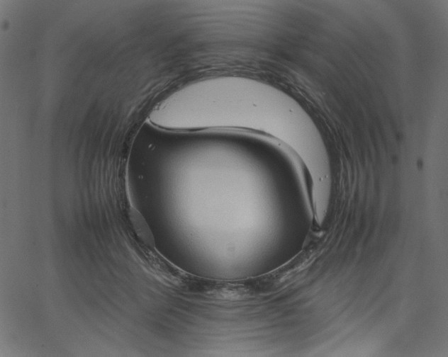 X0000067830412200604271559