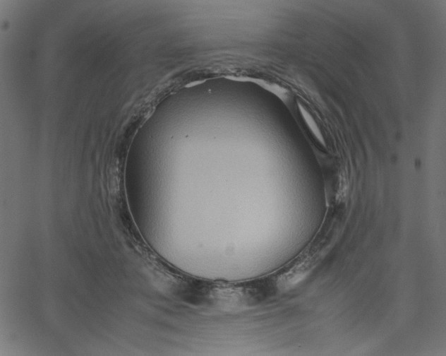 X0000067830413200604271559