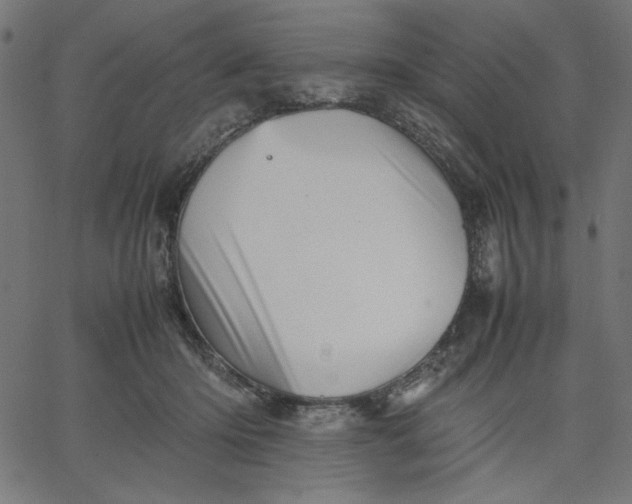 X0000067830414200604271559