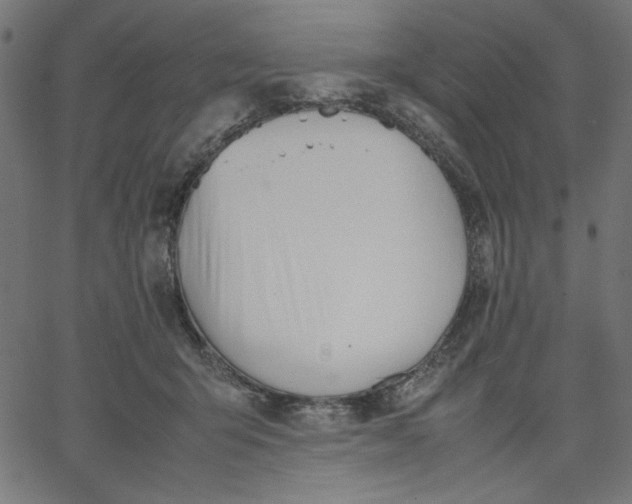 X0000067830415200604271559