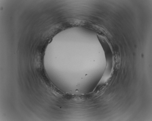 X0000067830416200604271559