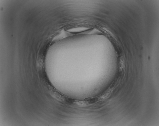 X0000067830417200604271559