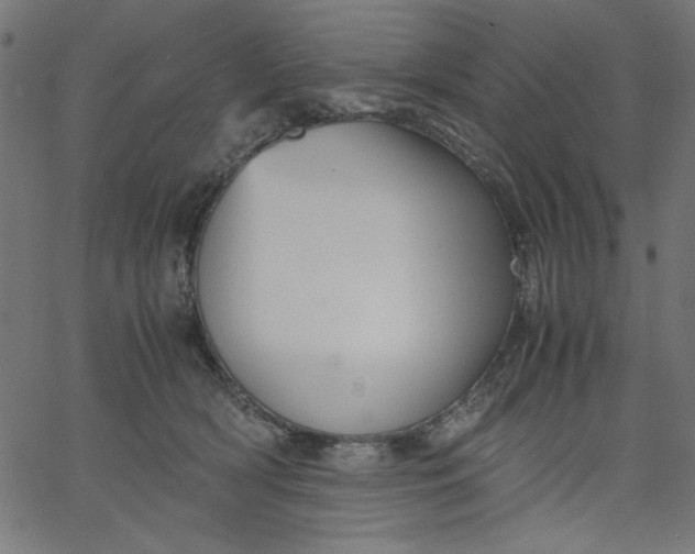 X0000067830418200604271559