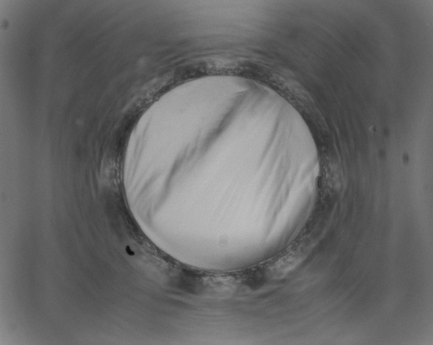 X0000067830419200604271559