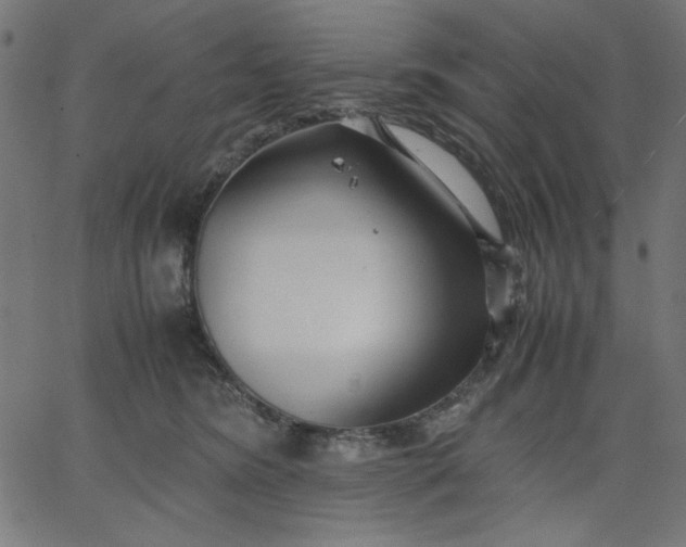 X0000067830420200604271559