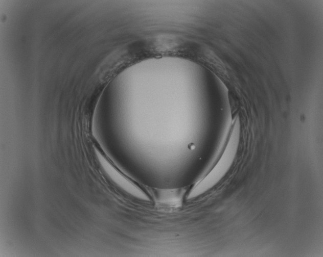 X0000067830421200604271559