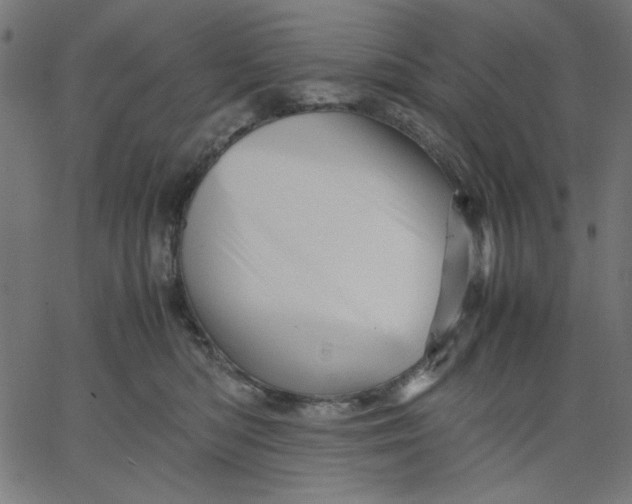 X0000067830422200604271559