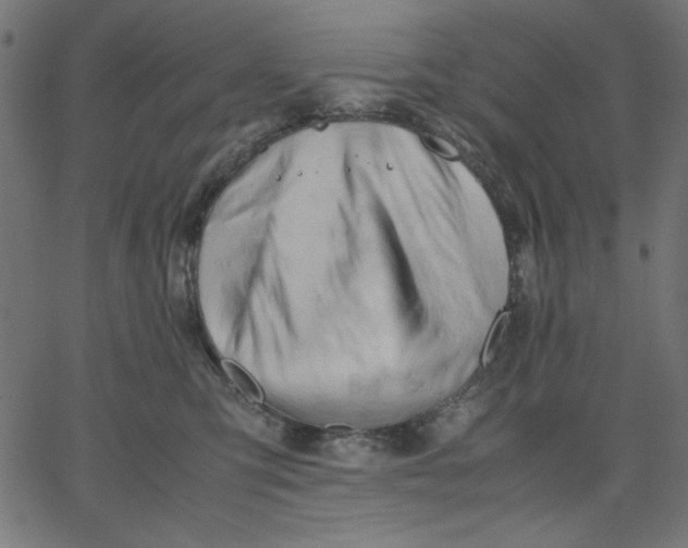 X0000067830423200604271559