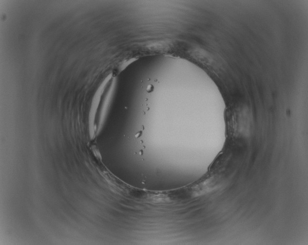 X0000067830424200604271559